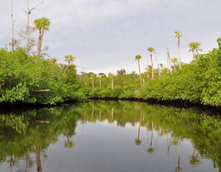 Jonathan Dickinson State Park