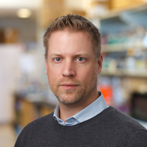 Mark Sundrud