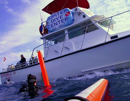 Scuba Diving Reefs
